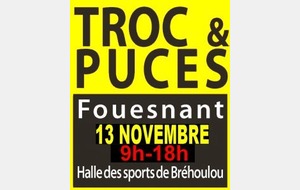 TROC & PUCES : DIMANCHE 13 NOVEMBRE