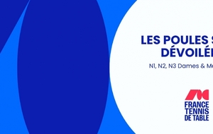 LES POULES DE N2 ET N3