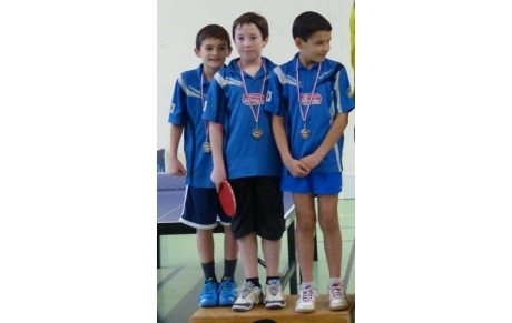 RESULTATS INTERCLUBS DEPARTEMENTAUX : 16 &amp; 17 NOV. A  LANDERNEAU