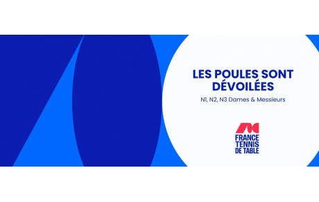 LES POULES DE N2 ET N3